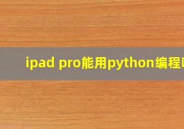 ipad pro能用python编程吗